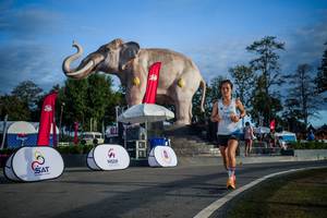 BIB: 
                            <button type="button" onclick="openModal(26541816)" class="btn btn-primary btn-sm float-right btn-popup" data-toggle="modal" data-target=".modal-high-quality">
                        <i class="fas fa-shopping-cart"></i> Add to Cart
                    </button>
                                            <button type="button" onclick="isThisMe(26541816, true)" class="btn btn-success btn-sm float-right btn-popup btn-isme hidden" data-toggle="tooltip" data-placement="bottom" title="นี่คือรูปของคุณใช่ไหม คลิกที่นี่เพื่อเอาเข้าอัลบั้ม">
                        <i class="fas fa-plus"></i> Add to album
                    </button>
                    <button type="button" onclick="isThisMe(26541816, false)" class="btn btn-warning btn-sm float-right btn-popup btn-isnotme hidden">
                        <i class="fas fa-ban"></i> Remove from album
                    </button>